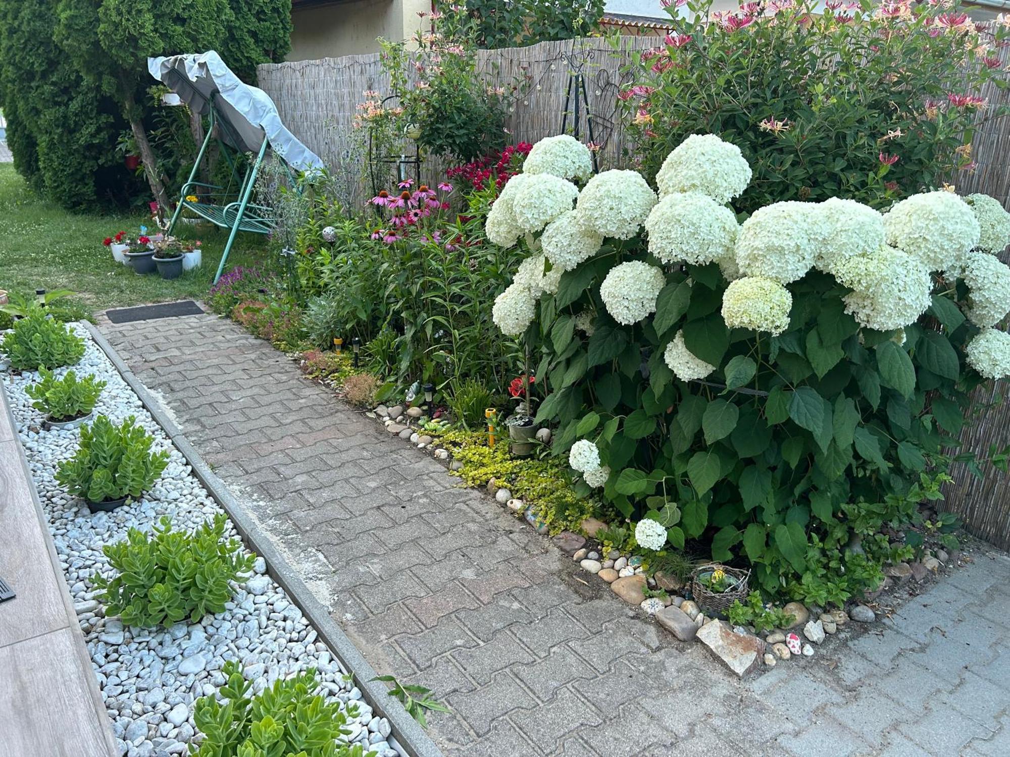 Noemi89 Apartman 希欧福克 外观 照片